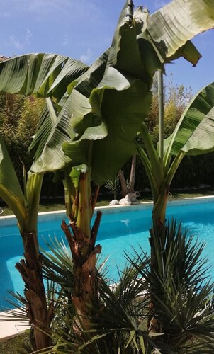 Villa with pool near the sea