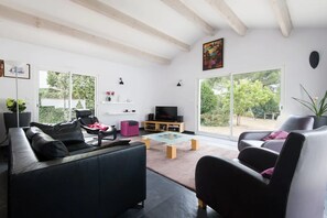 TV connectée, cheminée, jeux vidéo, lecteur de DVD