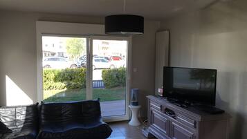 Televisión, chimenea, videojuegos y reproductor de DVD