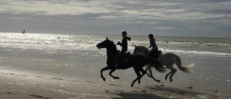 Playa en los alrededores