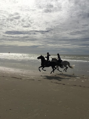 A beach with two people riding horses. - Very well exposed villa 8/10 people resort center, 300 meters from the beach. (Neufchâtel-Hardelot)