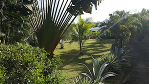 Un exuberante jardín con diversas plantas tropicales, un sendero y un edificio al fondo.