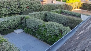 Een woonwijk met huizen, een betegeld terras en verzorgde hagen.