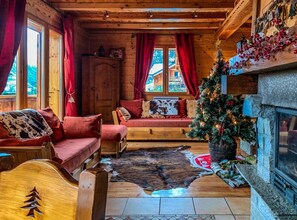TV, fireplace, DVD player, books
