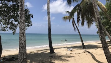 Una spiaggia nelle vicinanze, lettini da mare