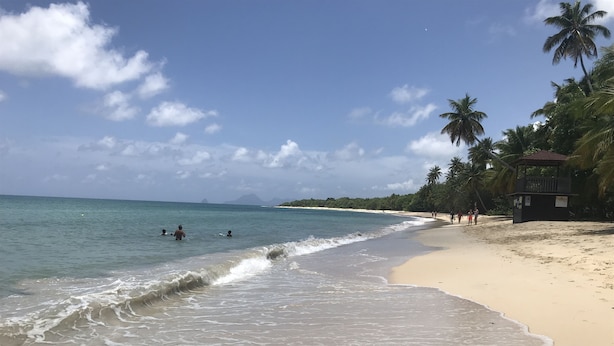 A beach with clear water, palm trees, and a lifeguard tower. - Sainte-Anne, typical villa for 4-6 people Sea view, directly on the beach. (Sainte Anne)