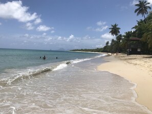 A beach with clear water, palm trees, and a lifeguard tower. - Sainte-Anne, typical villa for 4-6 people Sea view, directly on the beach. (Sainte Anne)