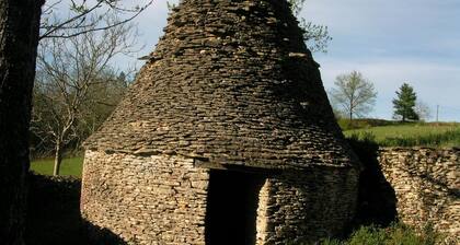 Le Figuier: In the heart of black Périgord, old farmhouse with panoramic view