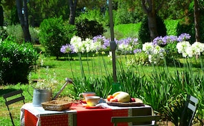 A very quiet breakfast, due south in front of the garden...