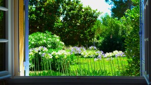 Une vue sur un jardin, avec une végétation luxuriante et des fleurs violettes, depuis une fenêtre.