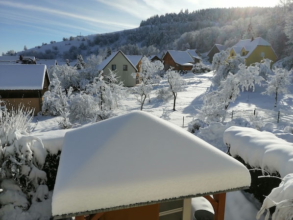 A snow-covered residential area with houses and trees.