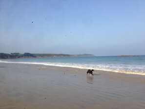 Playa
