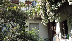 A white house with a balcony, surrounded by lush greenery and flowering plants. - At the gates of Strasbourg charming apartment in lush greenery 4 per. (Eckbolsheim)