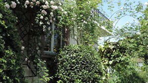 A garden with various plants and flowers, including roses, in front of a building. - At the gates of Strasbourg charming apartment in lush greenery 4 per. (Eckbolsheim)