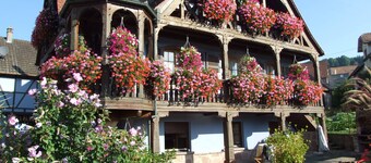 COTTAGE "AU VIGNERON" - SPA - 3 Epis