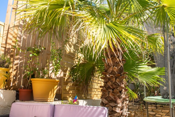 Un coin de la terrasse
