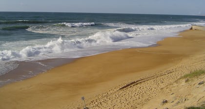 Belle villa Spacieuse 120m2, arborĂ©e Ă 5min de l'ocĂ©an et 100m forĂȘt landaise.