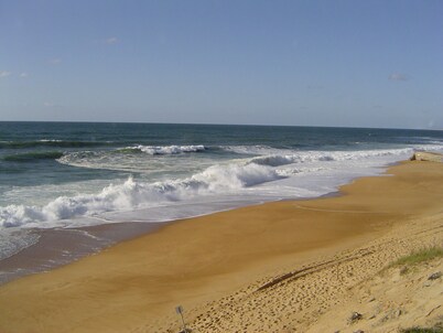 Charming house, in a green setting, on the Landaise Coast