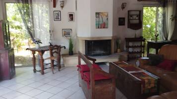 Télévision, cheminée, lecteur de DVD, livres