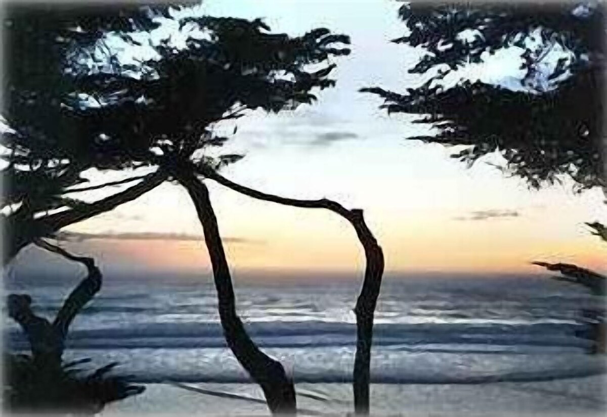 Værtens profilbillede