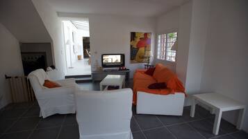 Télévision, cheminée, lecteur de DVD, livres