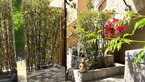 Una scala in pietra conduce a una zona coperta con posti a sedere, arricchita da una statua, bambù e piante fiorite.