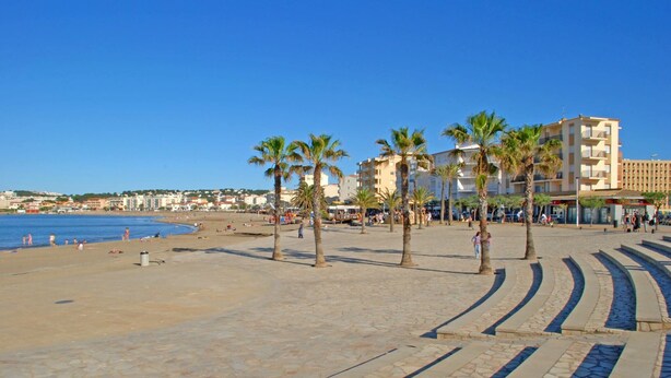 Un paseo marítimo en la playa con palmeras, un camino de piedra y vistas al mar y edificios al fondo.