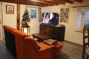 TV, fireplace, DVD player, ping pong