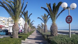 Un paseo marítimo bordeado de palmeras y un cartel de prohibido estacionar.