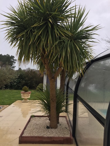 Warme Familienvilla mit Pool 400-2400 € / Woche