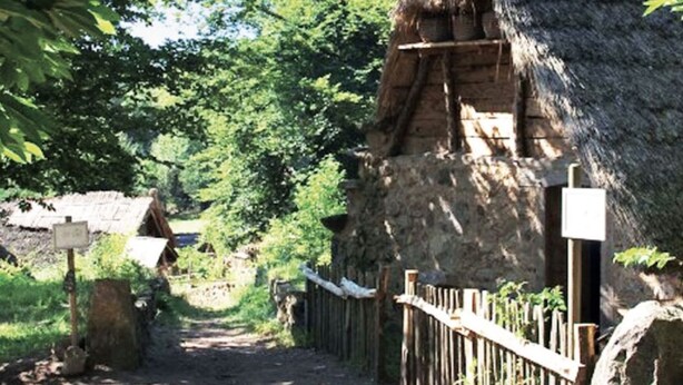 Ein rustikales Gebäude mit Strohdach, vor dem ein Feldweg durch das Grün führt.