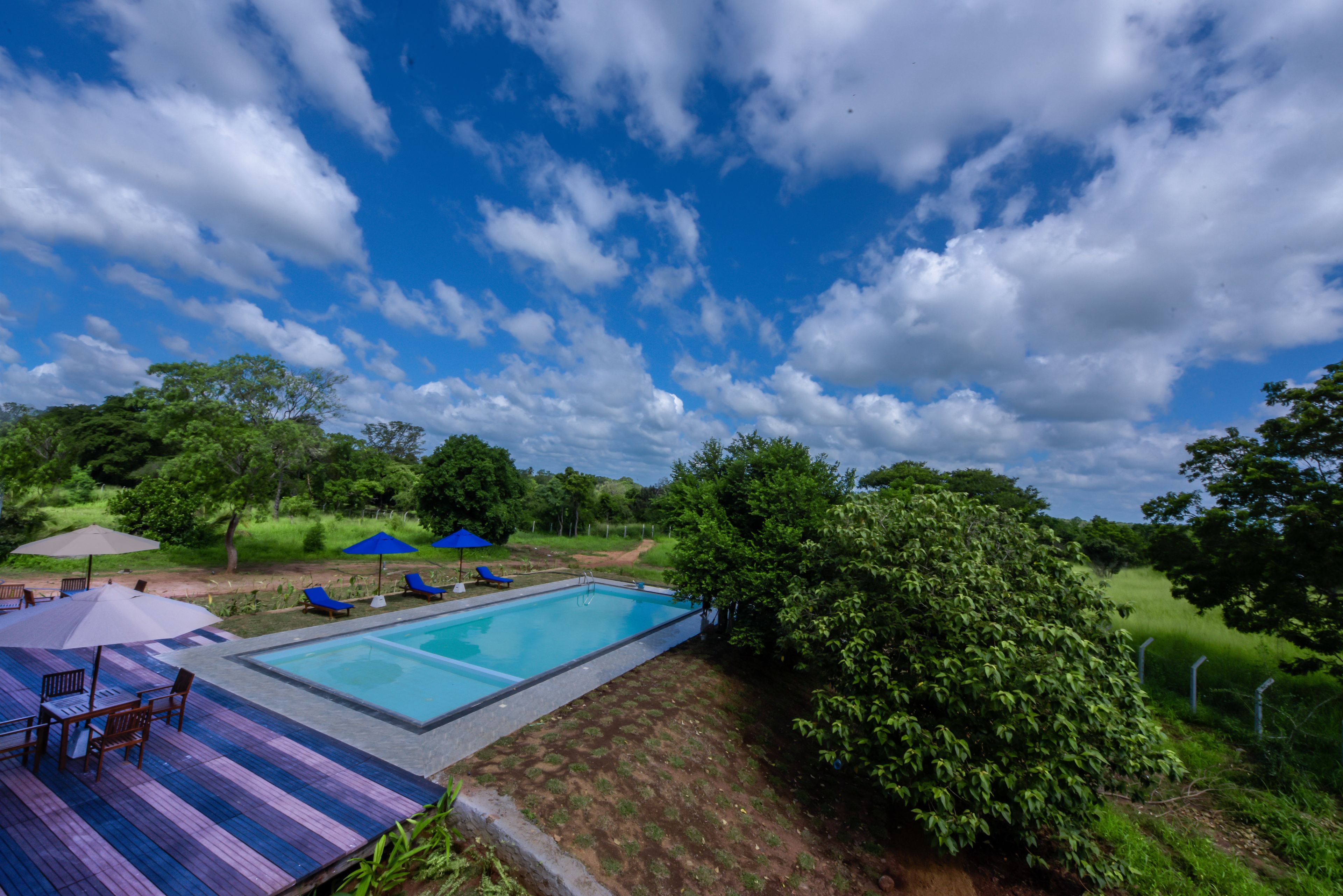 Une piscine rectangulaire entourée d’une terrasse agrémentée de chaises longues et de parasols, le tout se fondant dans un décor de verdure et sous un ciel dégagé.