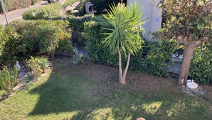Un jardín cuidado con diversas plantas y un pequeño árbol.