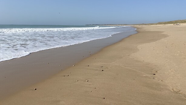 Une vaste plage de sable fin, avec des vagues douces et un ciel dégagé.