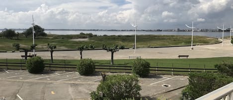 A parking area with trees and a view of the water.