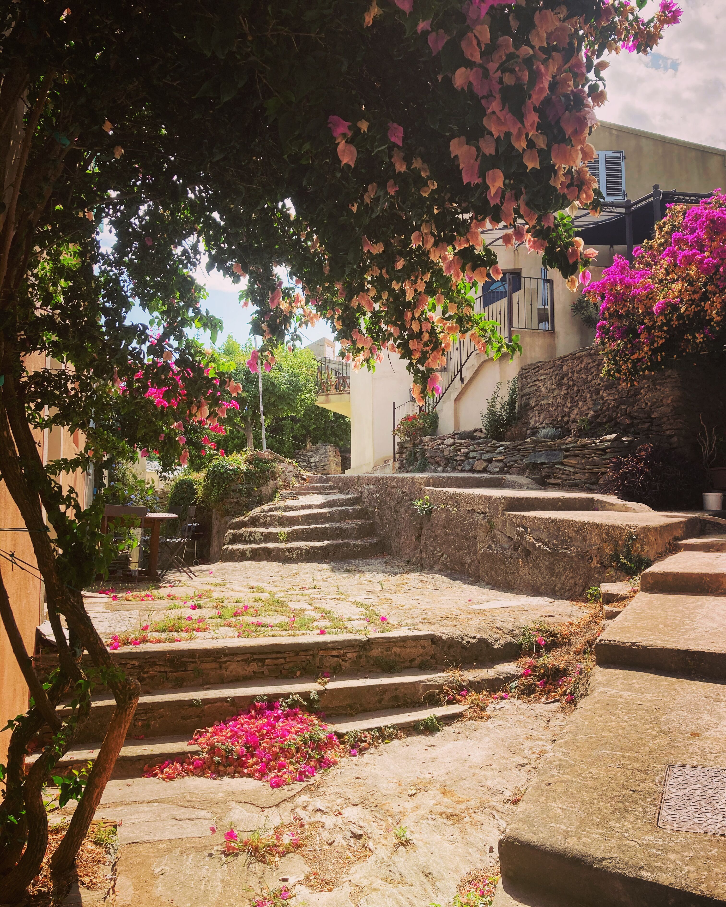 Áreas de la propiedad