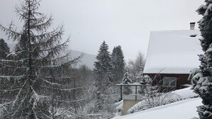 Ett snötäckt landskap med ett hus och träd.