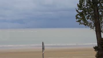 Vlak bij het strand