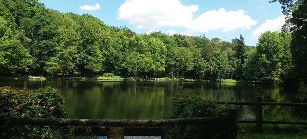 A serene lake surrounded by dense forest, with a wooden fence in the foreground. - Gite in the heart of the Perche, with garden, 2 terraces and 2 beds, Le Pierra (Perche En Nocé)