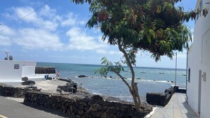 Uma rua costeira com um muro de pedra, uma árvore e vista para o oceano.