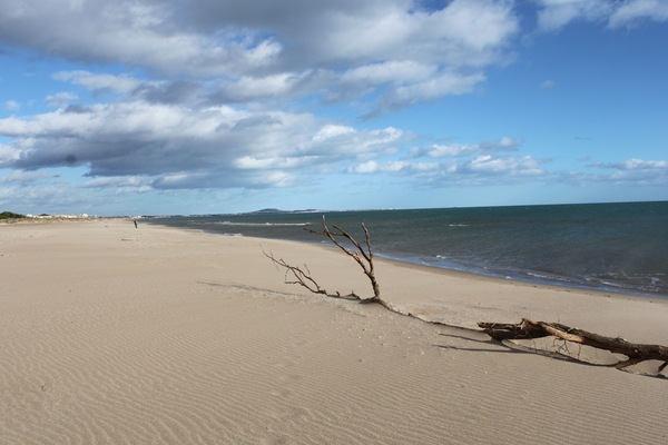 In Strandnähe