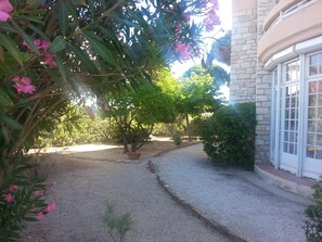 A garden pathway leading to a house with a stone facade and a window with white frames.