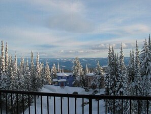 Terrain de l’hébergement 