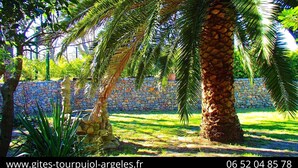 A stone wall with palm trees and a clear sky.