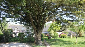 Uma entrada arborizada leva a uma casa com garagem visível e carros estacionados.