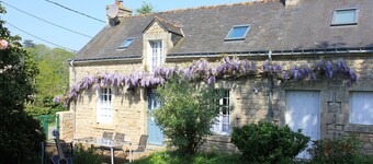 プレミアム5スターレンタル