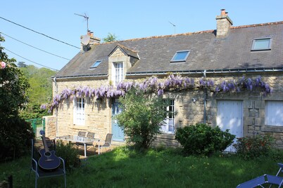 PREMIUM 5 STAR RENTALS