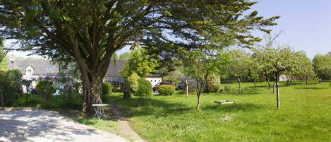 Property grounds