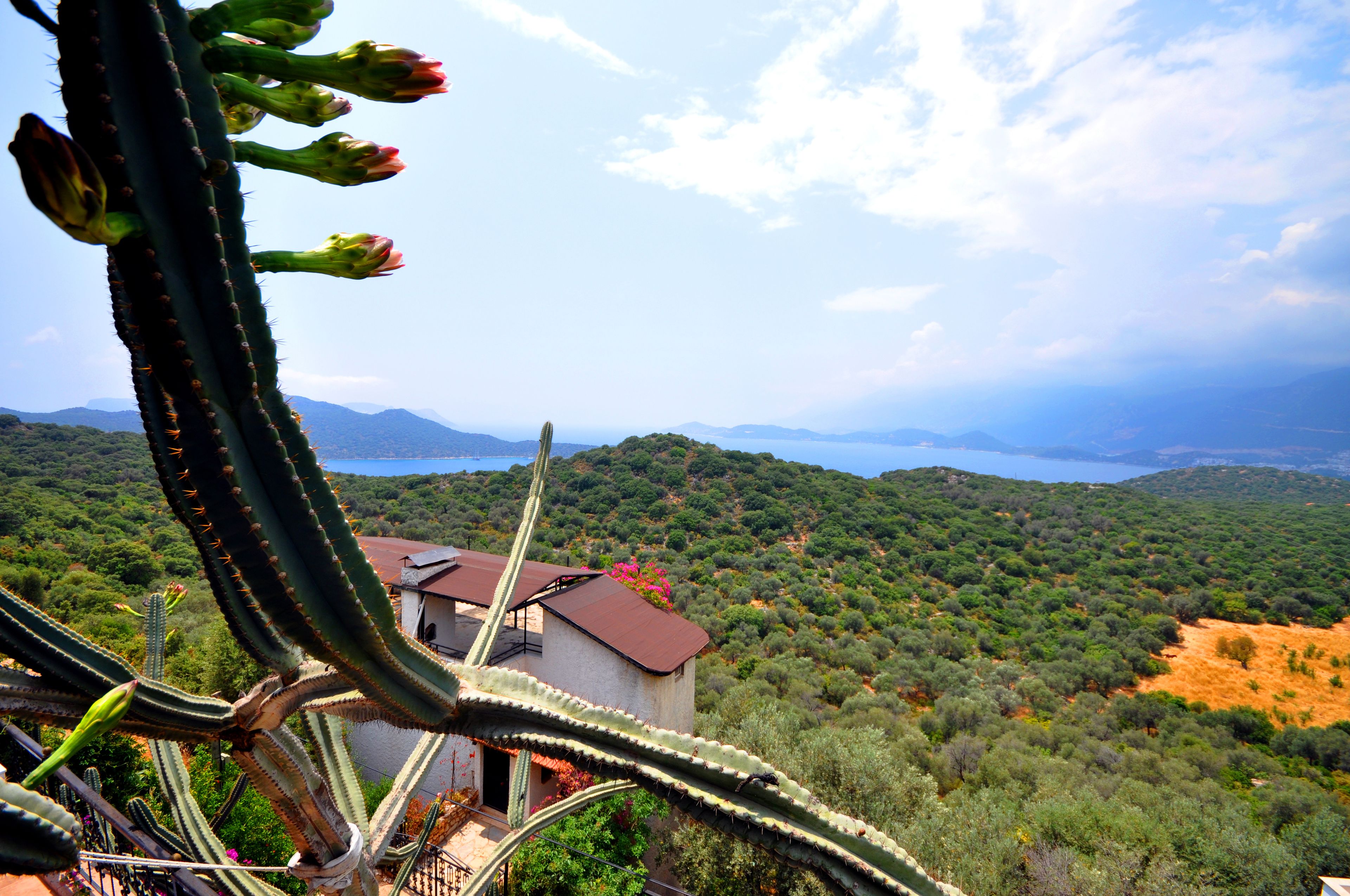 Villa Kaktus, Ka: Hotel Reviews, Rooms & Prices | Hotels.com