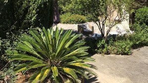 A garden with a palm plant, a stone bench, and a building with a tiled roof.